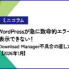 Download Manegerのエラー対処法