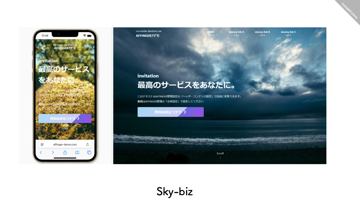 Sky-biz